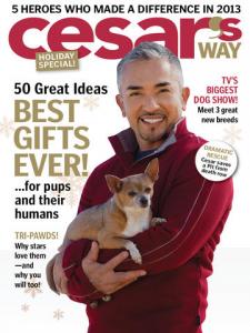Cesar S Way Magazine November 2013